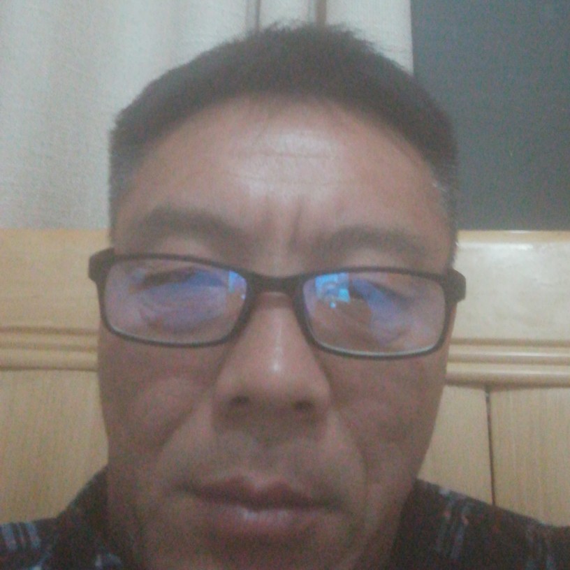 傻傻书本的照片
