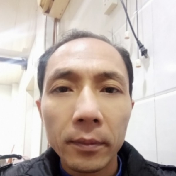 小海豚闻受伤的照片