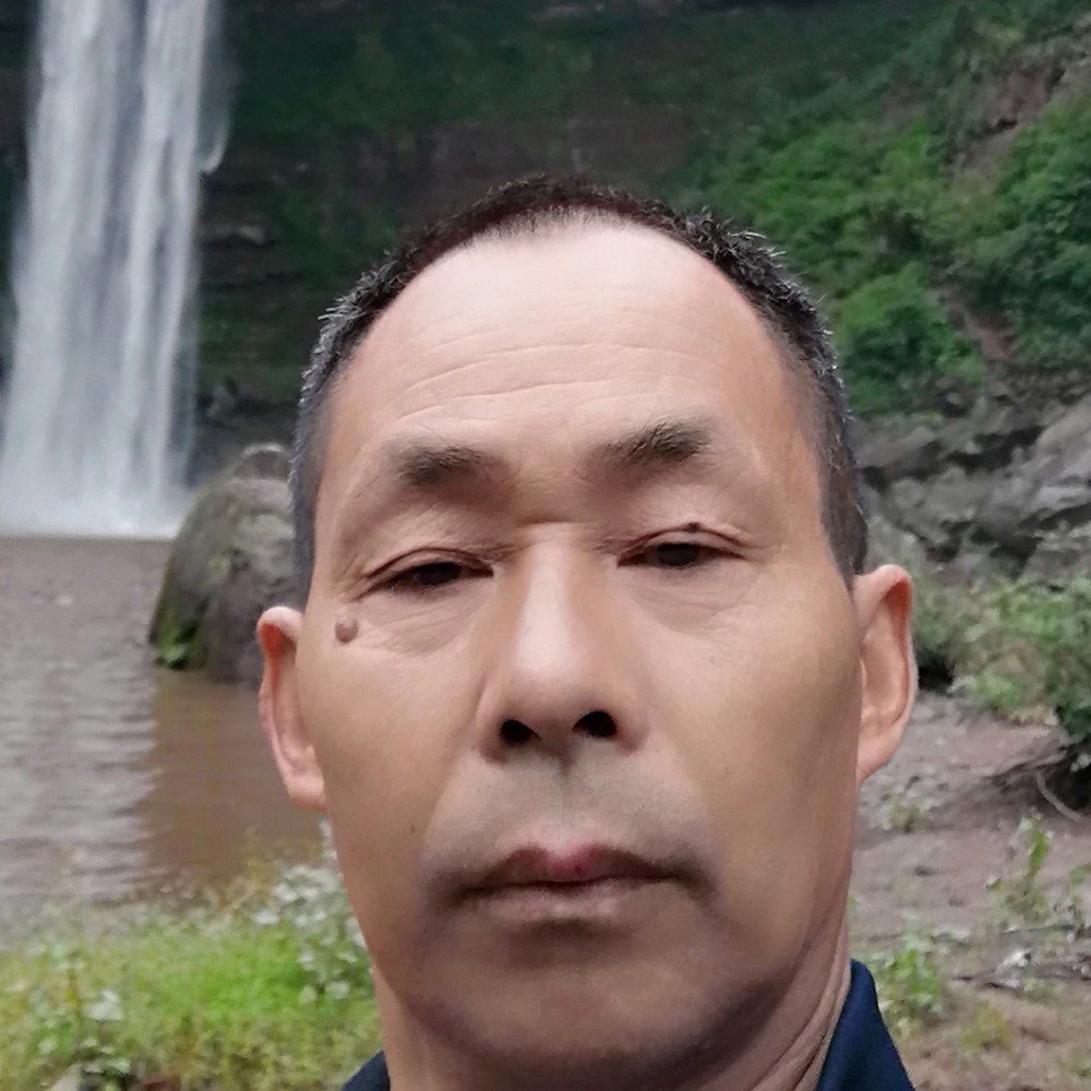 乌龟踢朴素的照片