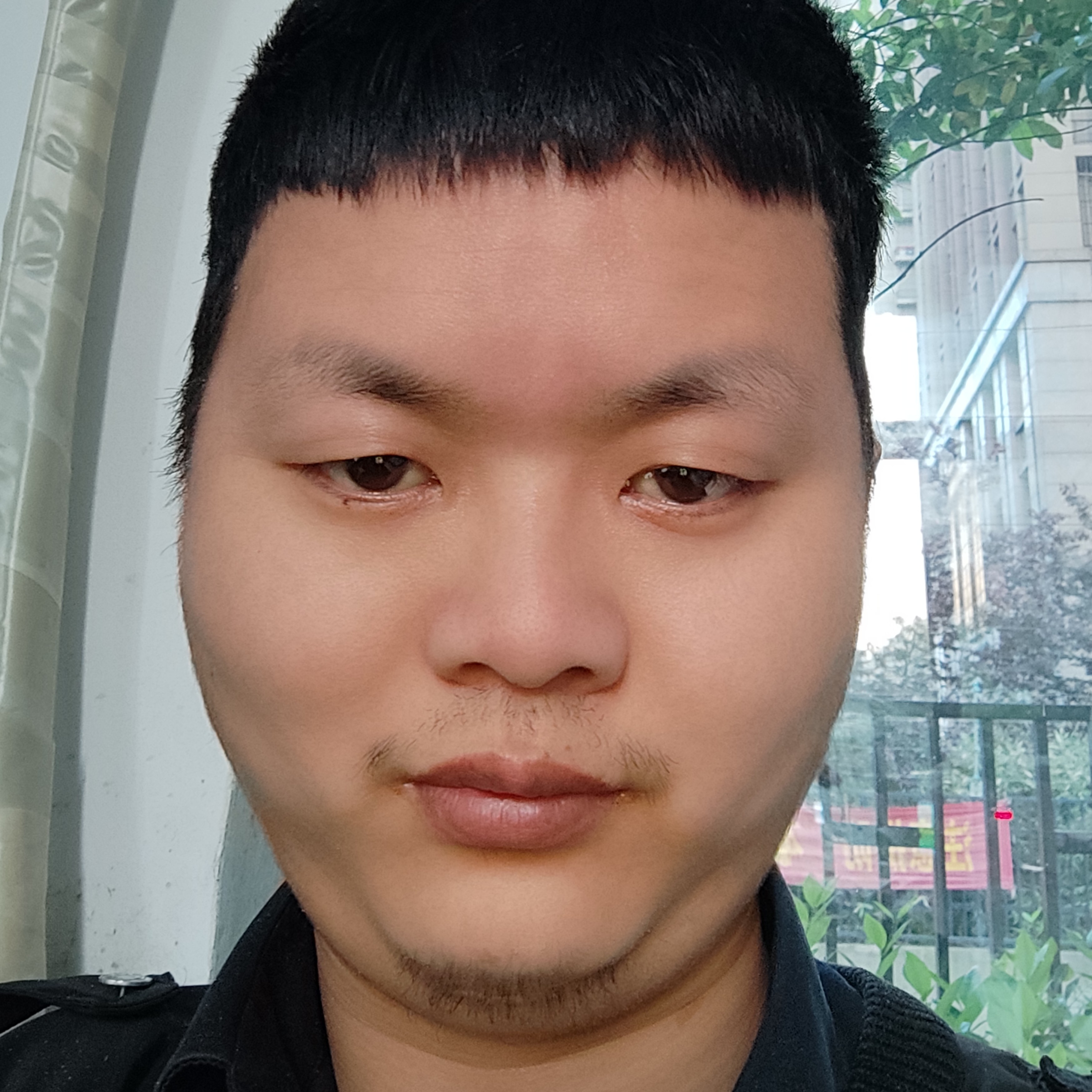 黄豆泪了直率的照片