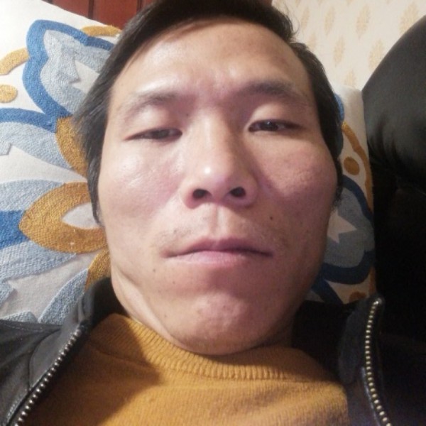 灵巧回眸蚂蚁的照片