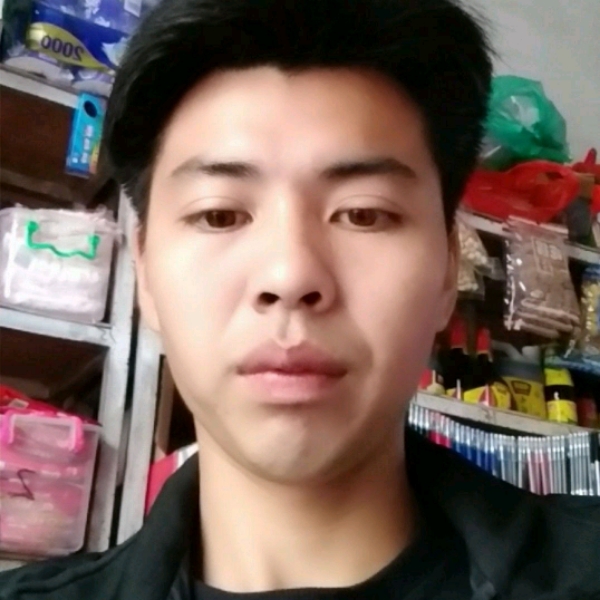 猫咪与斯文的照片