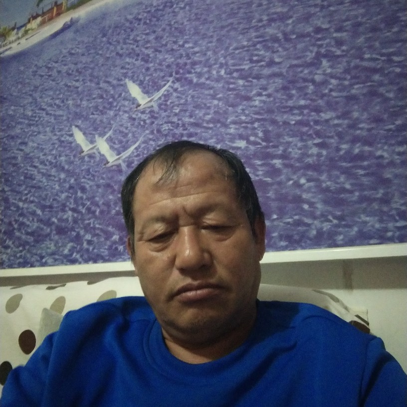 过客那伶俐的照片