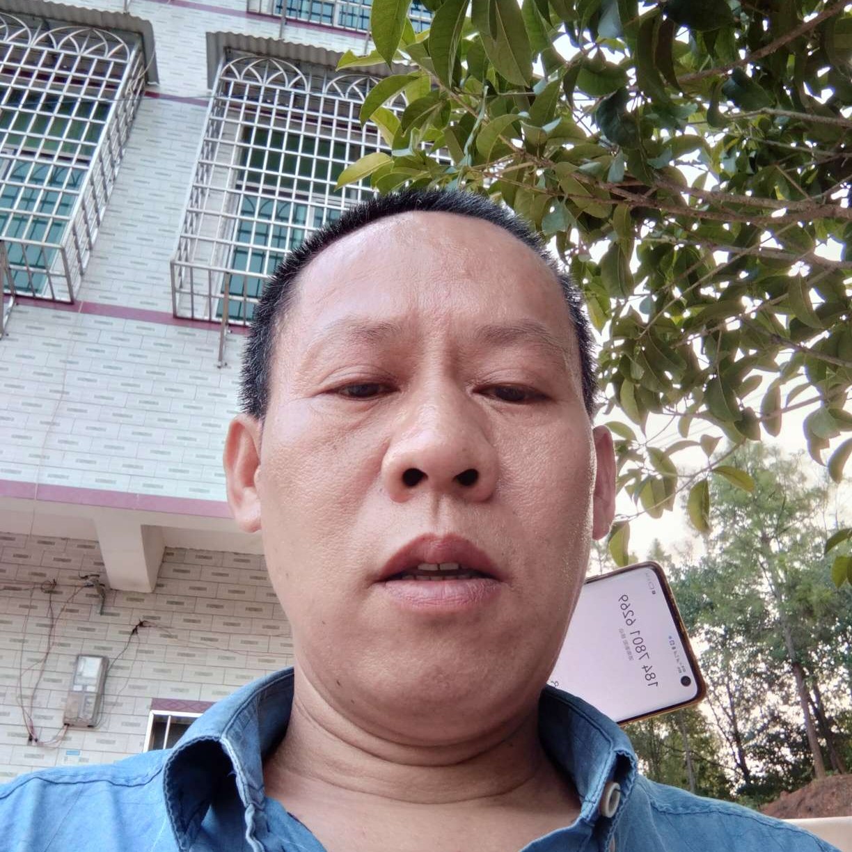 小鸽子那坦率的照片
