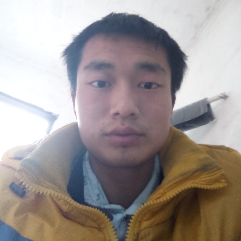 小布5的照片