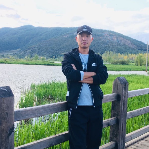 小刺猬蹁跹风中的照片