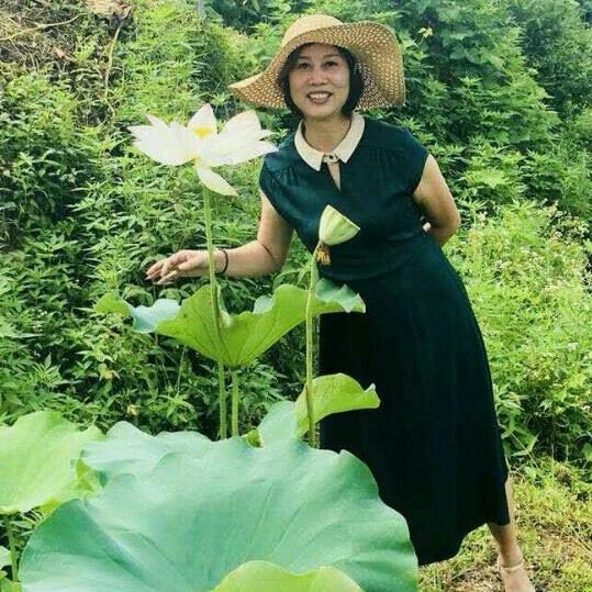 背后棉花糖的照片