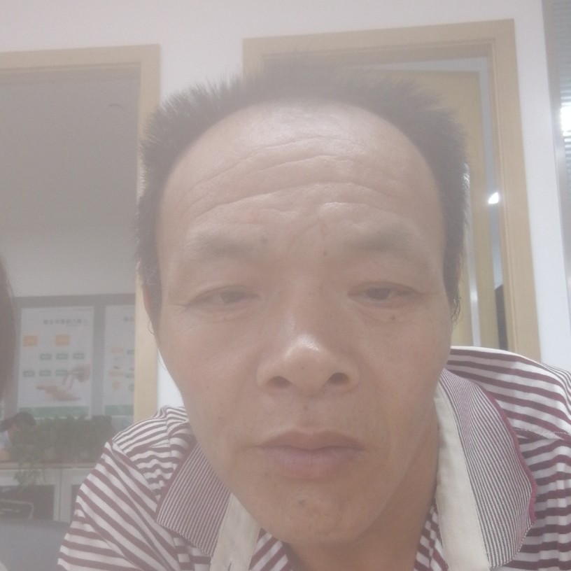 丁历的照片