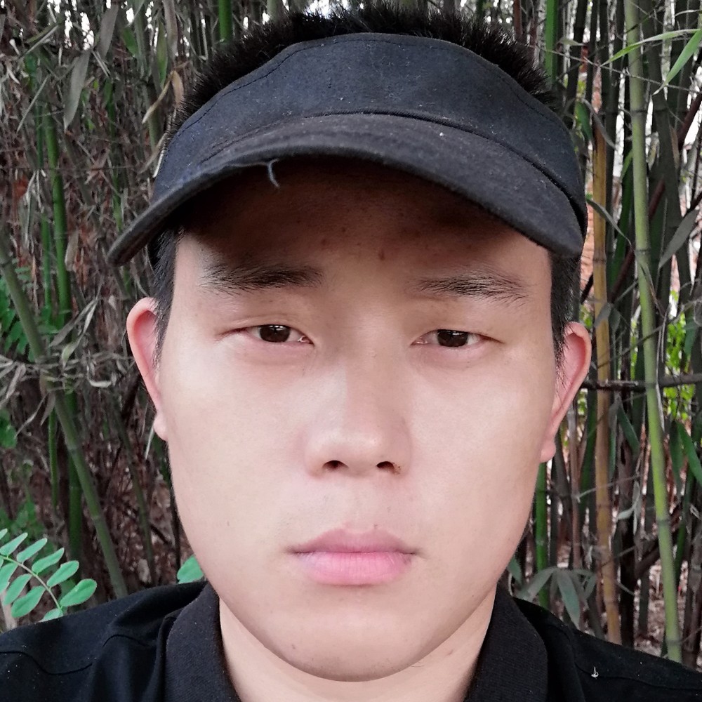 书本保卫彪壮的照片