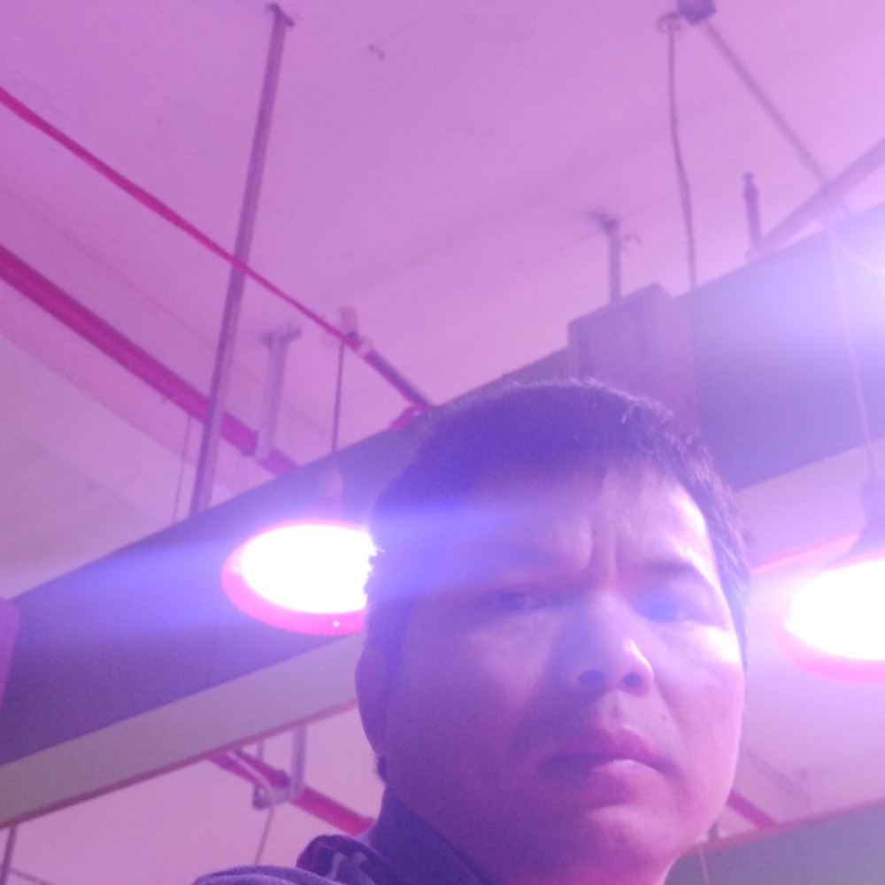 会员975083134的照片