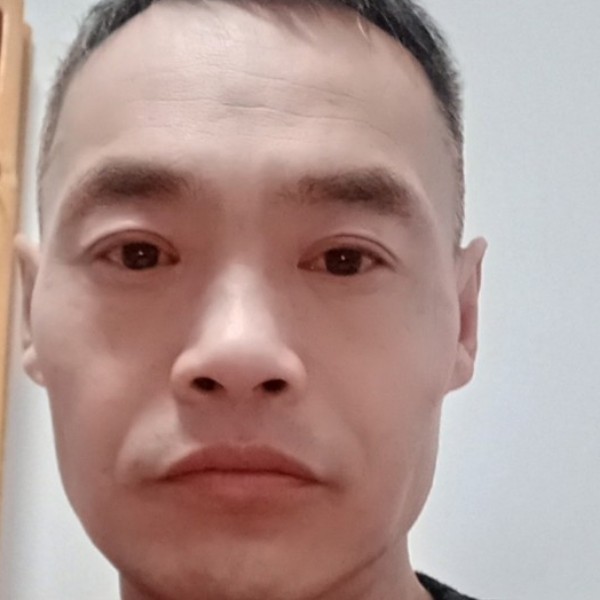没招的照片