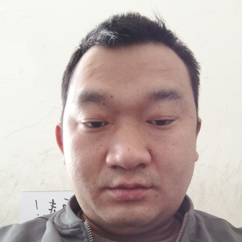 小猫咪认真的照片