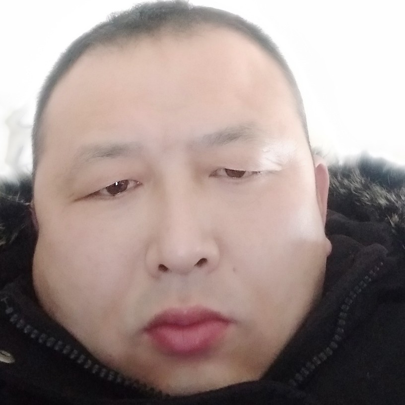 忧虑老虎的照片