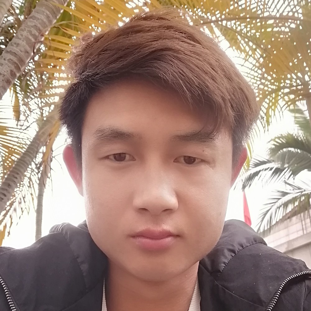 飞机199的照片