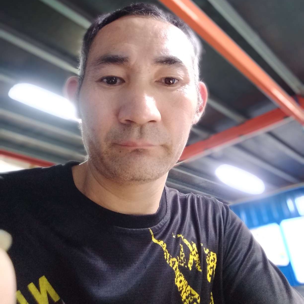 冬天的兔的照片