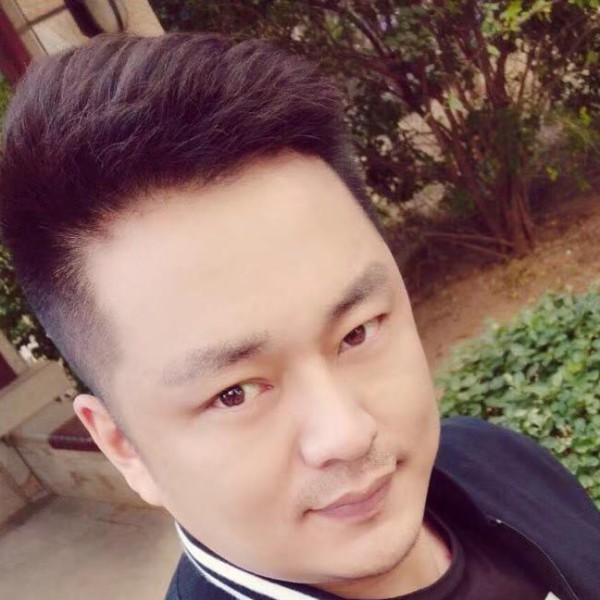 彩色拿小刺猬的照片