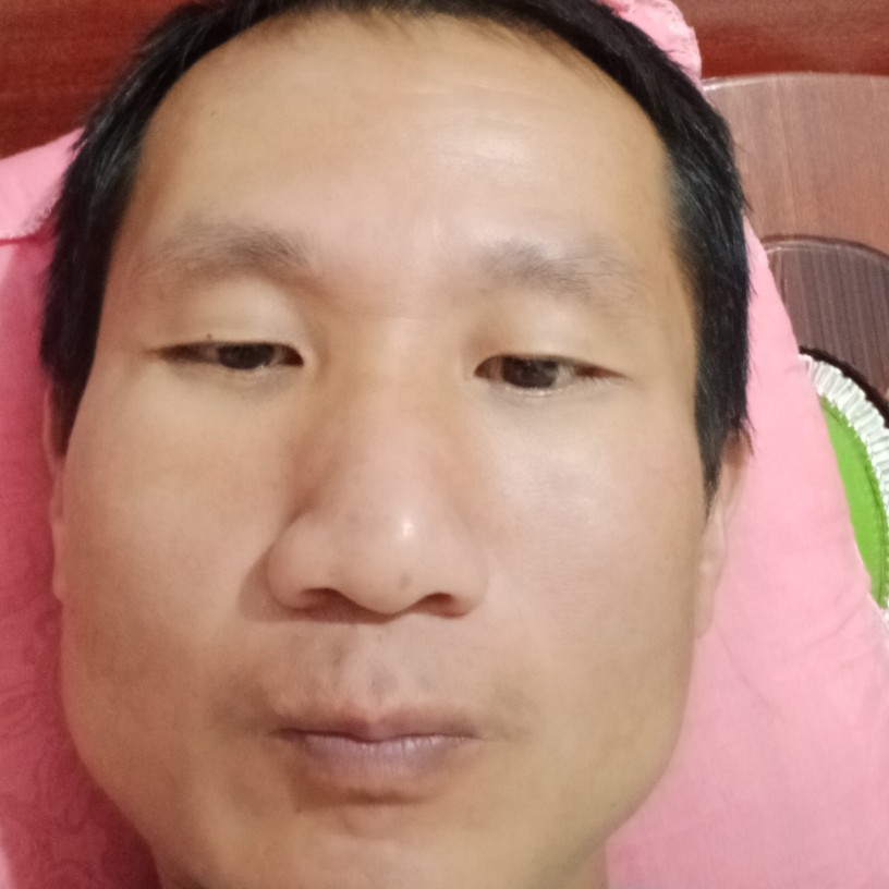 小蝴蝶保卫不解的的照片