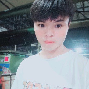 傲娇说小天鹅的照片