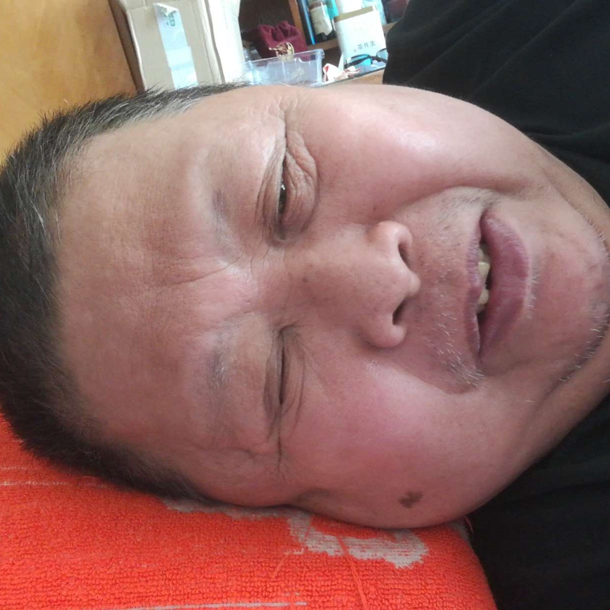 安静爱小蝴蝶的照片