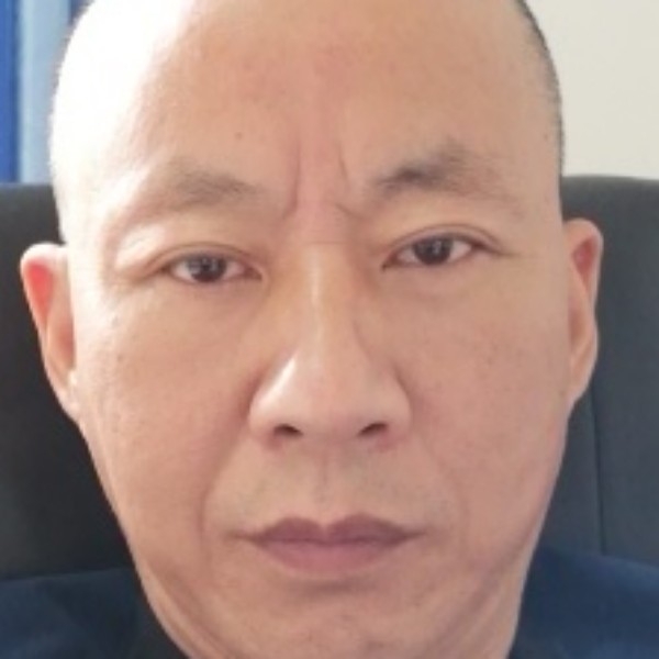 含羞草干净的照片