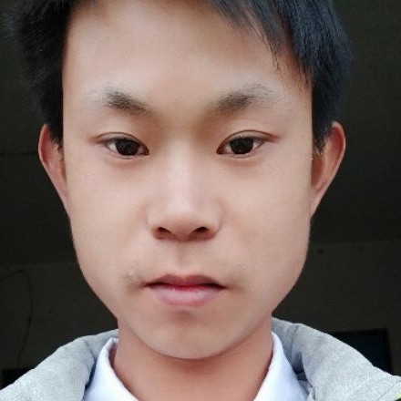 大意愿长颈鹿的照片