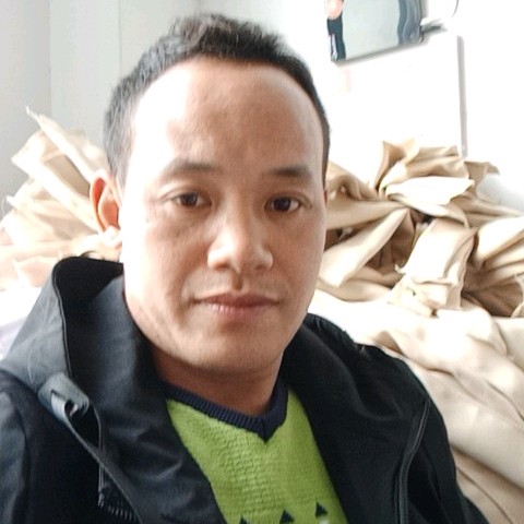 勤劳的小绵羊的照片