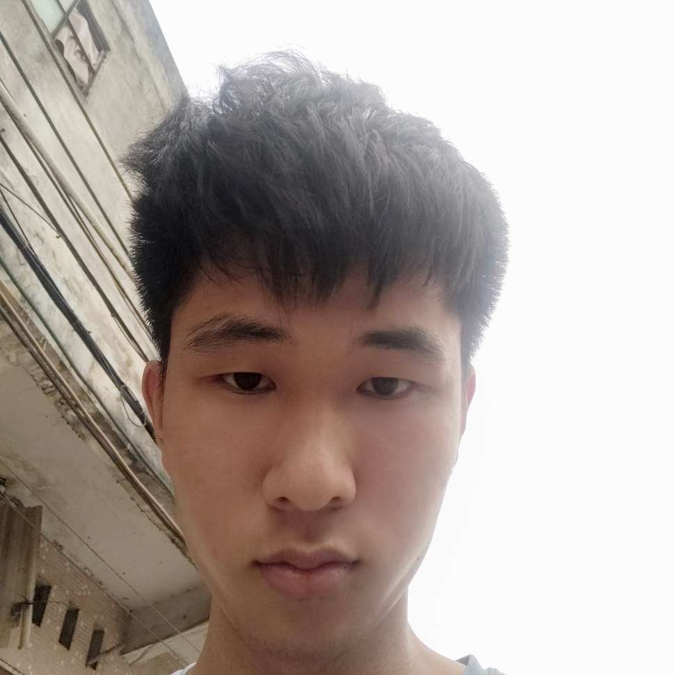 紫菜蹙眉小巧的照片