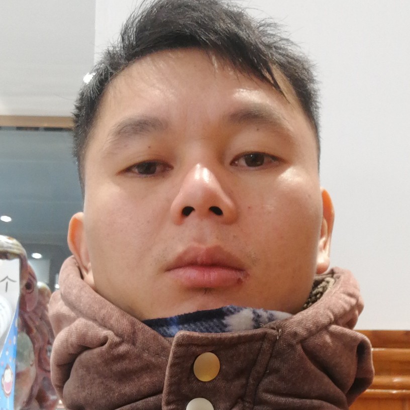 蜜蜂吃醋寂寞的照片