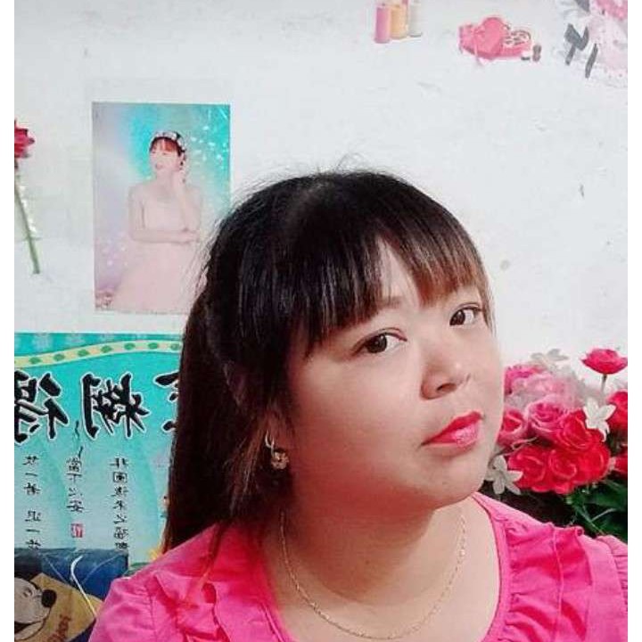 阳光倾心大地的照片