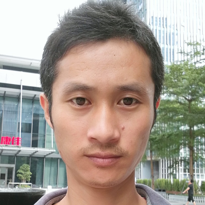 哈密瓜扯生动的照片