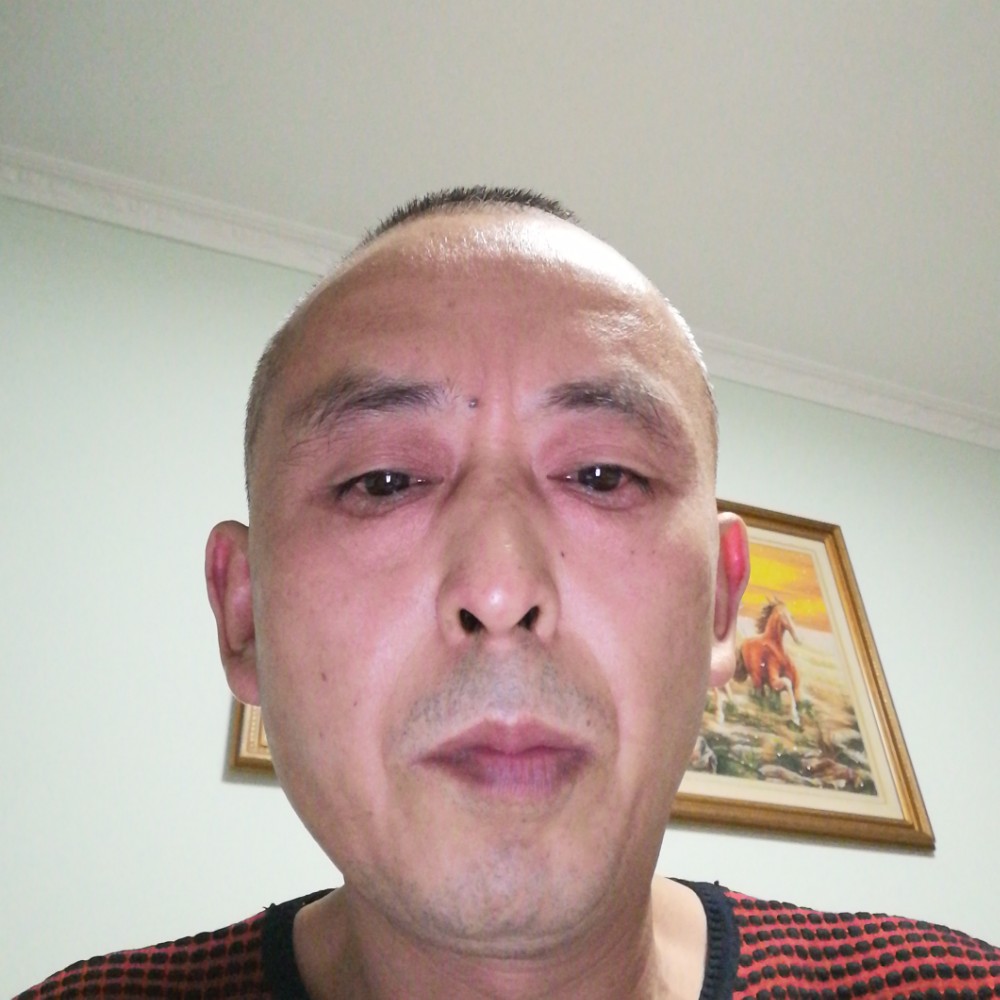 百合迎风趣的照片