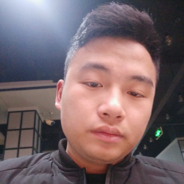 羊健康的照片