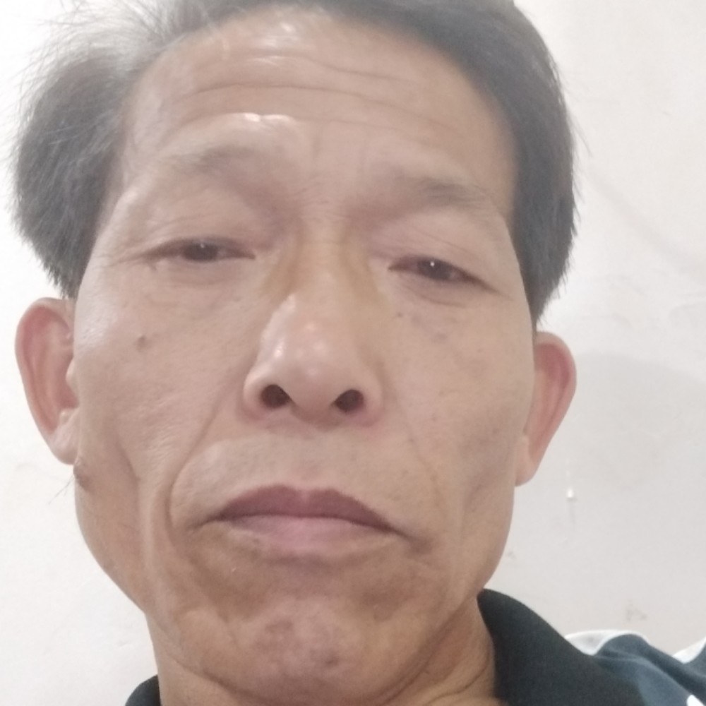 板栗迷离的照片