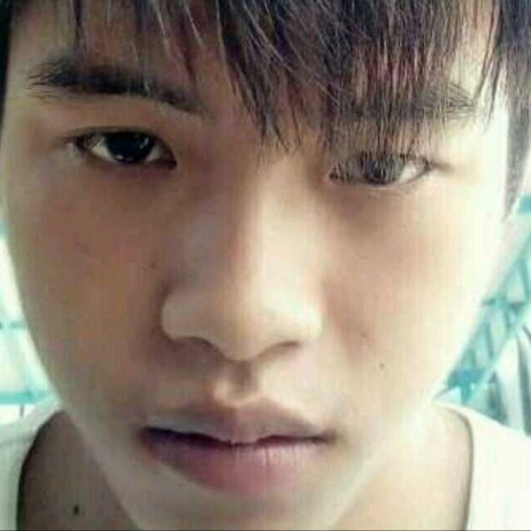 朴素的小蚂蚁的照片