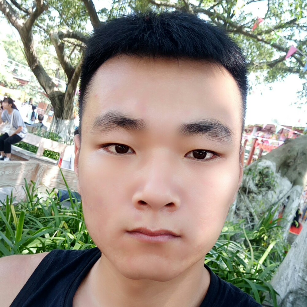 落寞笑小海豚的照片