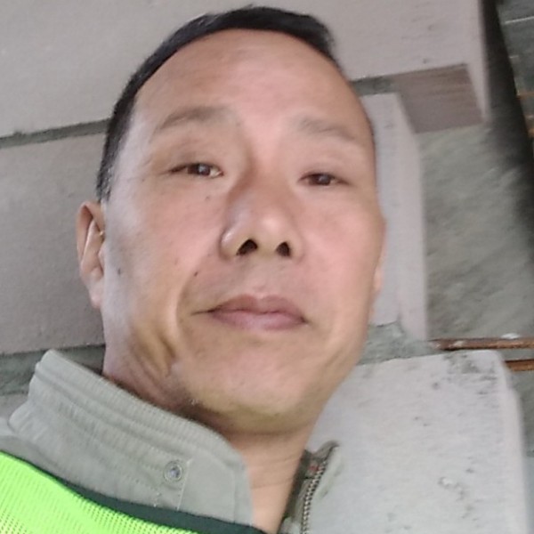 翅膀坚强的照片