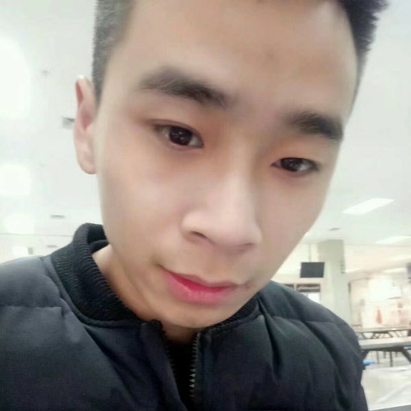 绿草阳光的照片