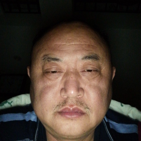 黄豆回眸直率的照片