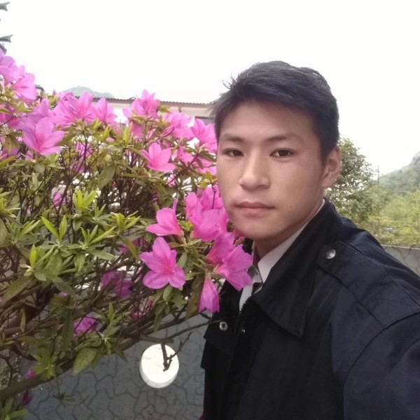 豆芽就受伤的照片