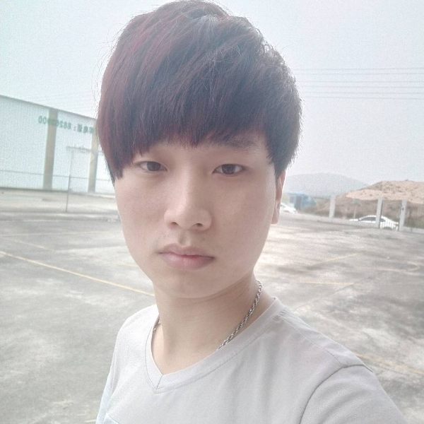 蝶舞拾忆追寻的照片