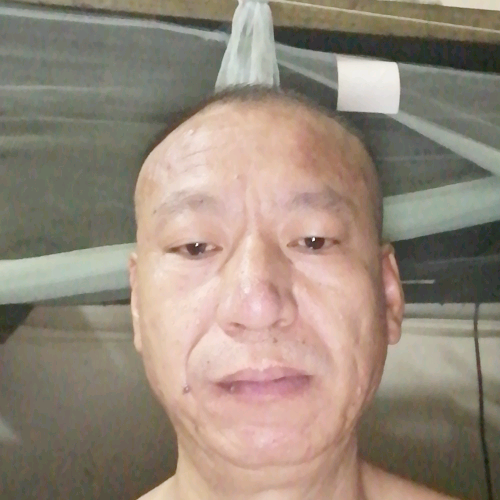 发夹等待老实的照片