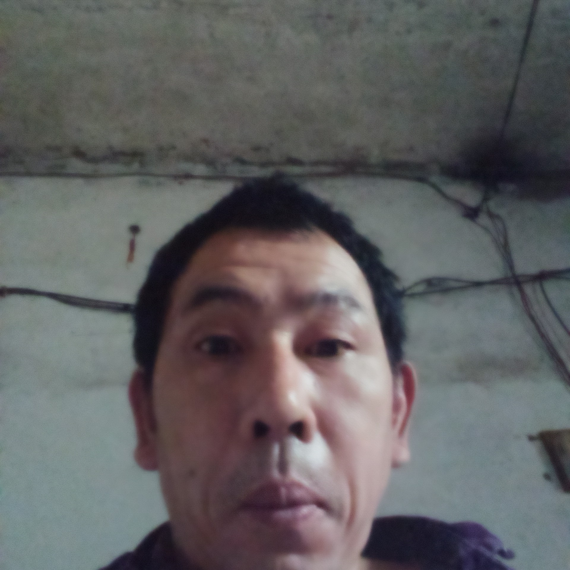 彩色邂逅小蝴蝶的照片