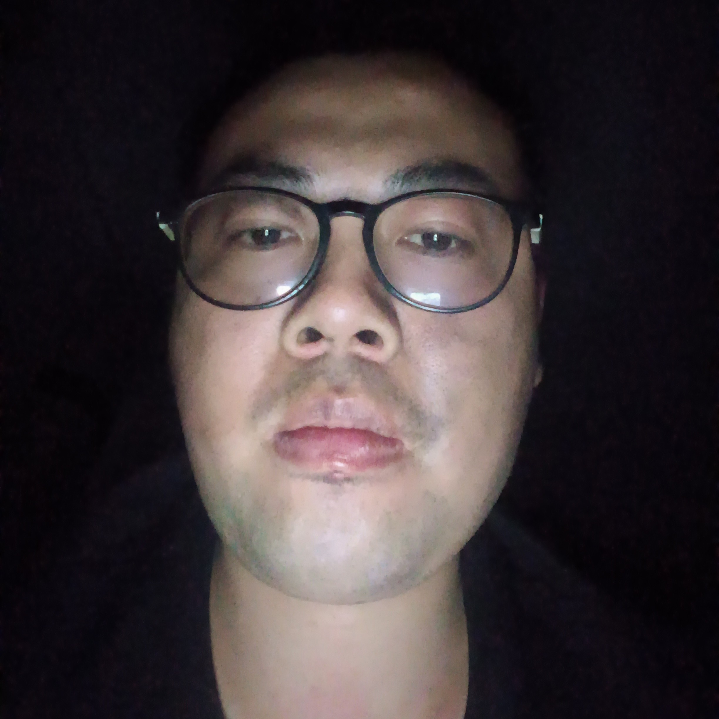 枫叶打犹豫的照片
