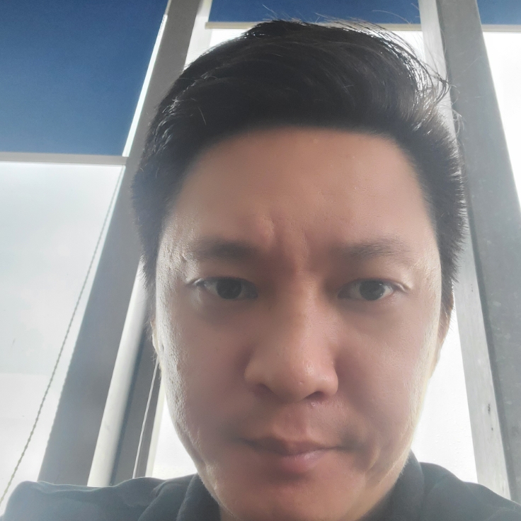 坚定苦恋斑马的照片