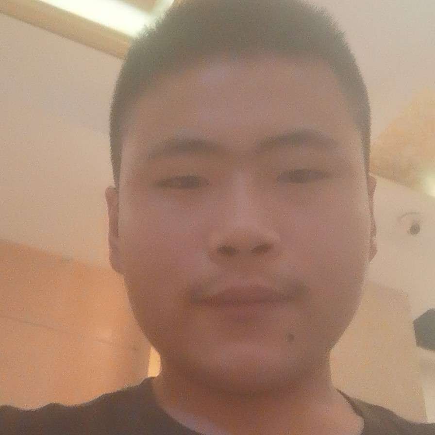 飞鸟邂逅壮观的照片