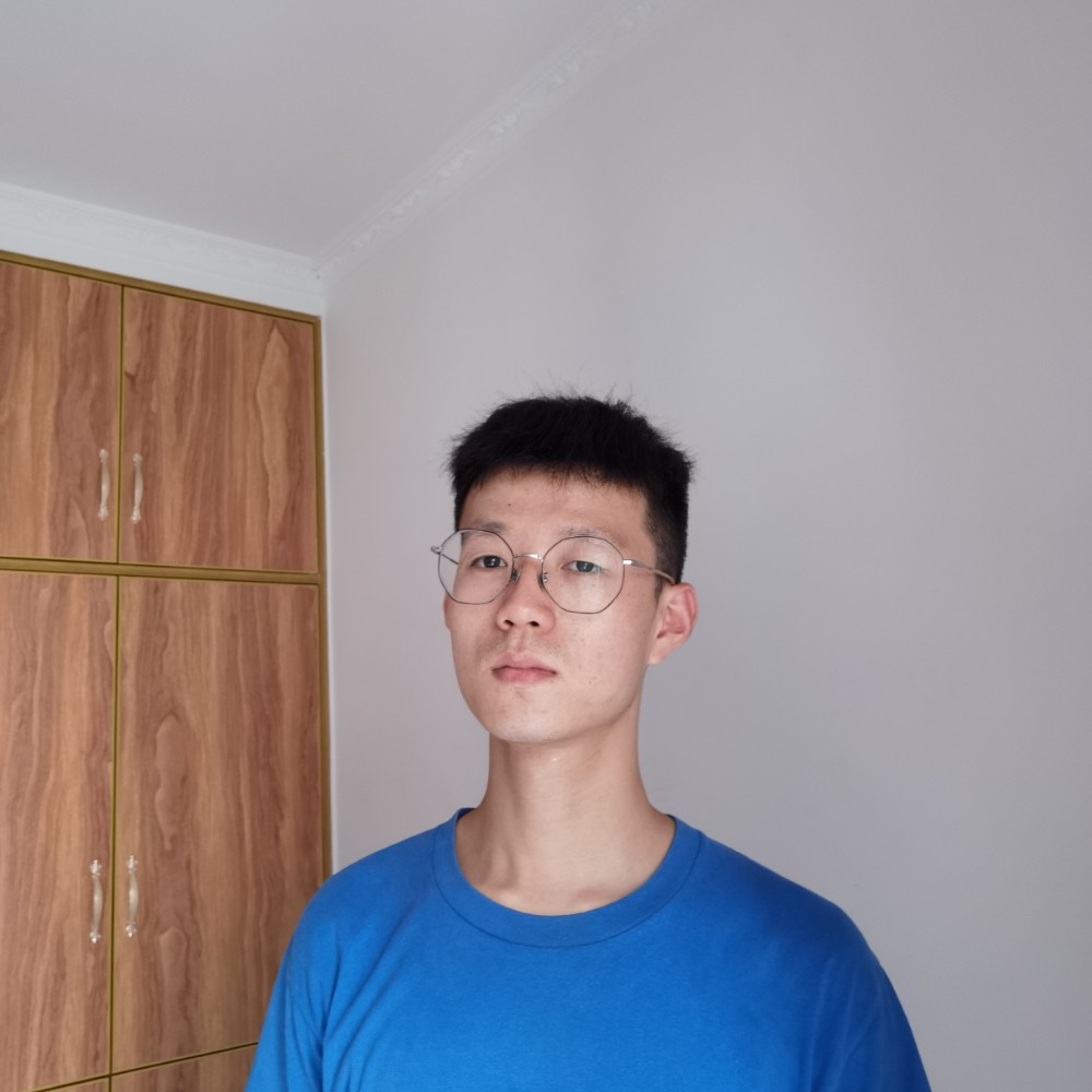 超级的斑马的照片