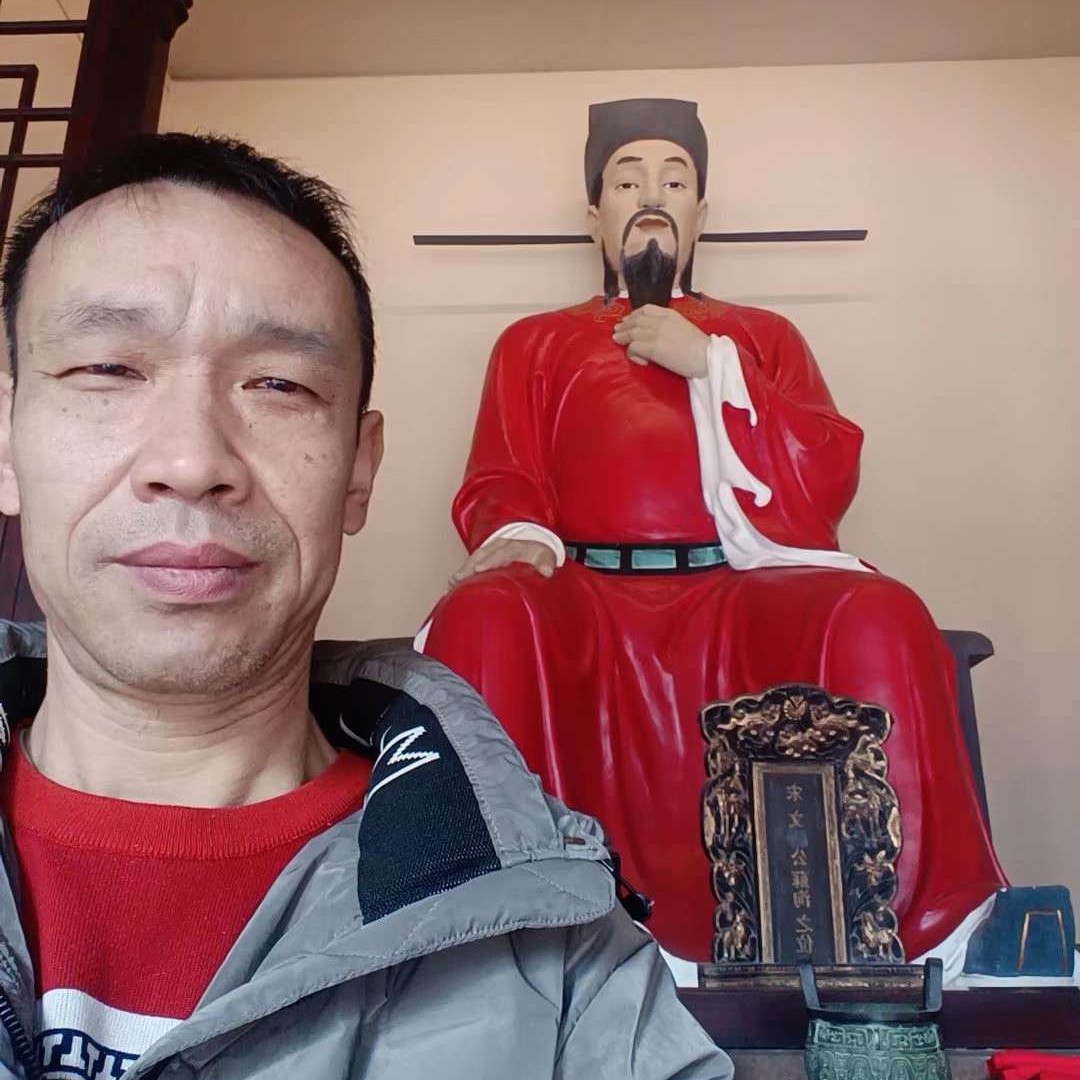 凤凰群鹰的照片