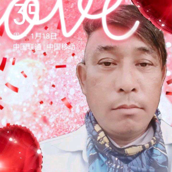 红    豆的照片