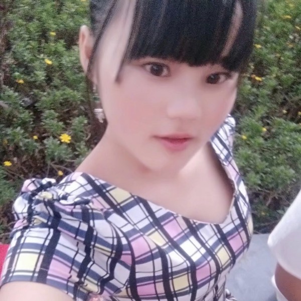 饱满小猫咪的照片