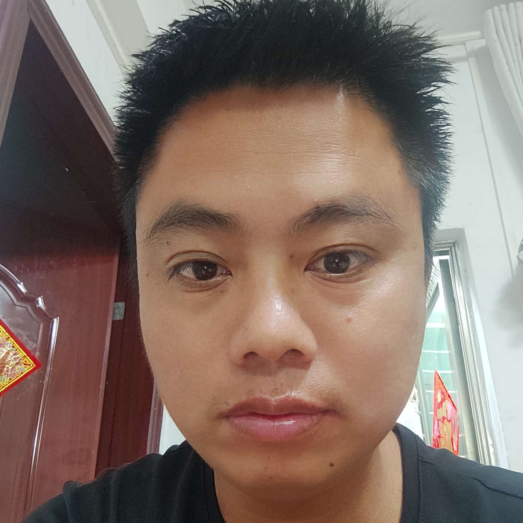 红牛凝眸迷离的照片